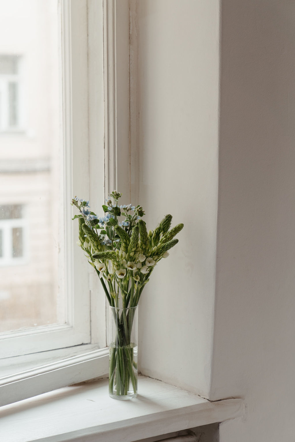 Slow Bloom — Flowers in Bud, with a Vase
