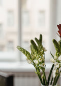 Tuberose Essential