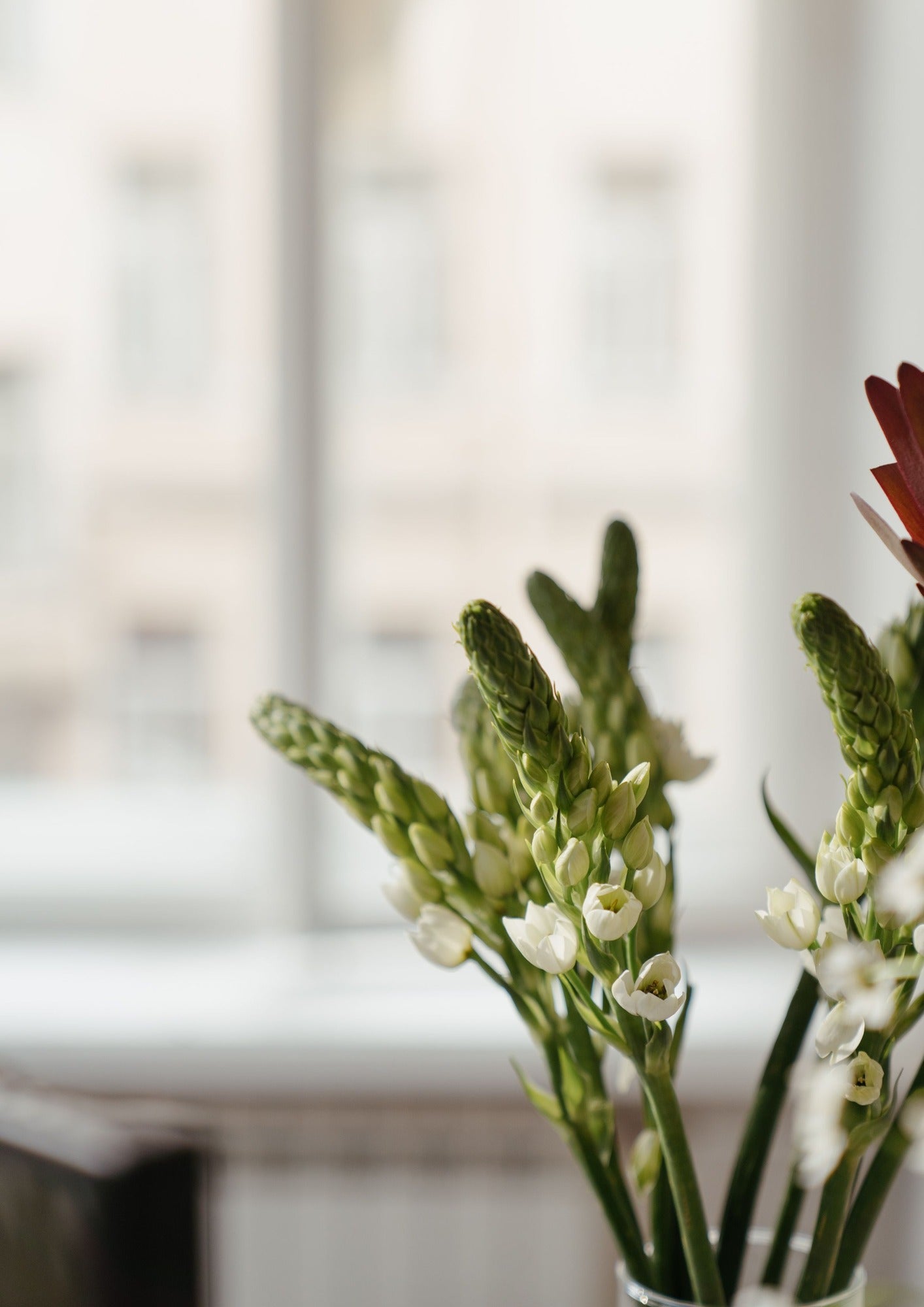 Tuberose Essential